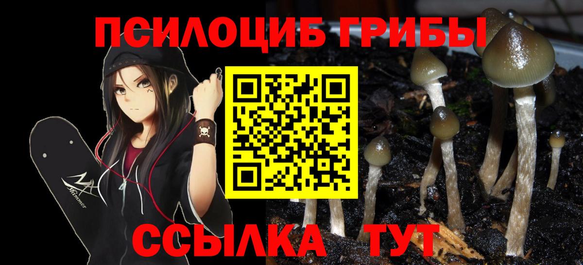 Галлюциногенные грибы Psilocybine cubensis  Вход с VPN  Воскресенск 